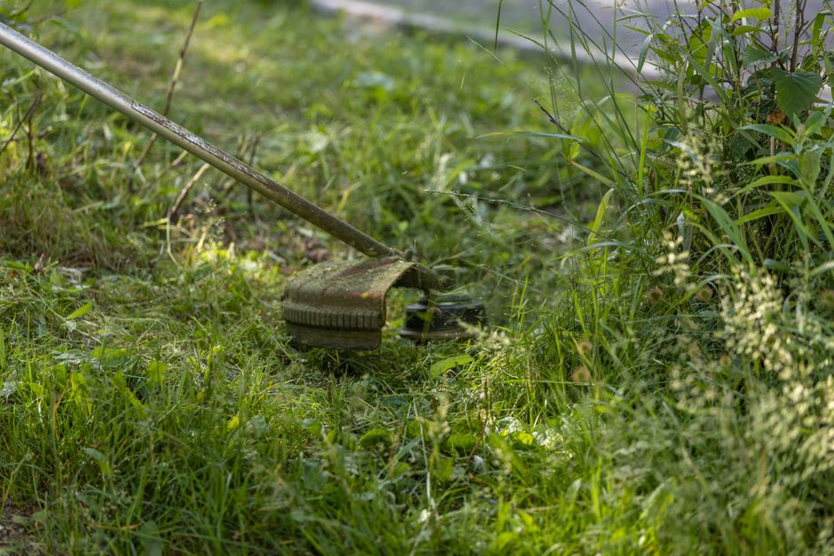 Krovinorez a trimer pripravený na servis